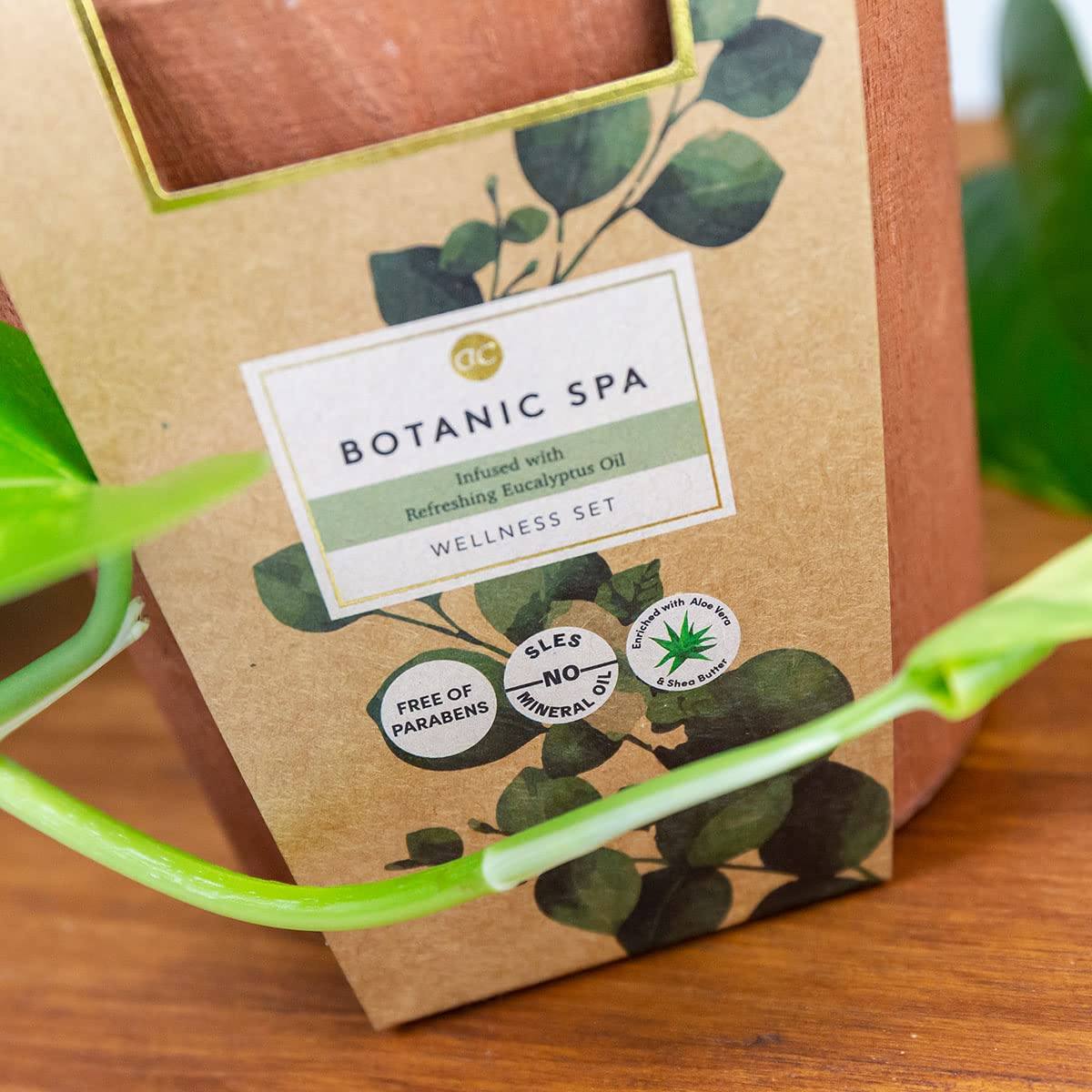 accentra-geschenkset-botanic-spa-4-teilig-holzeimer-sheabutter-eukalyptus image 6