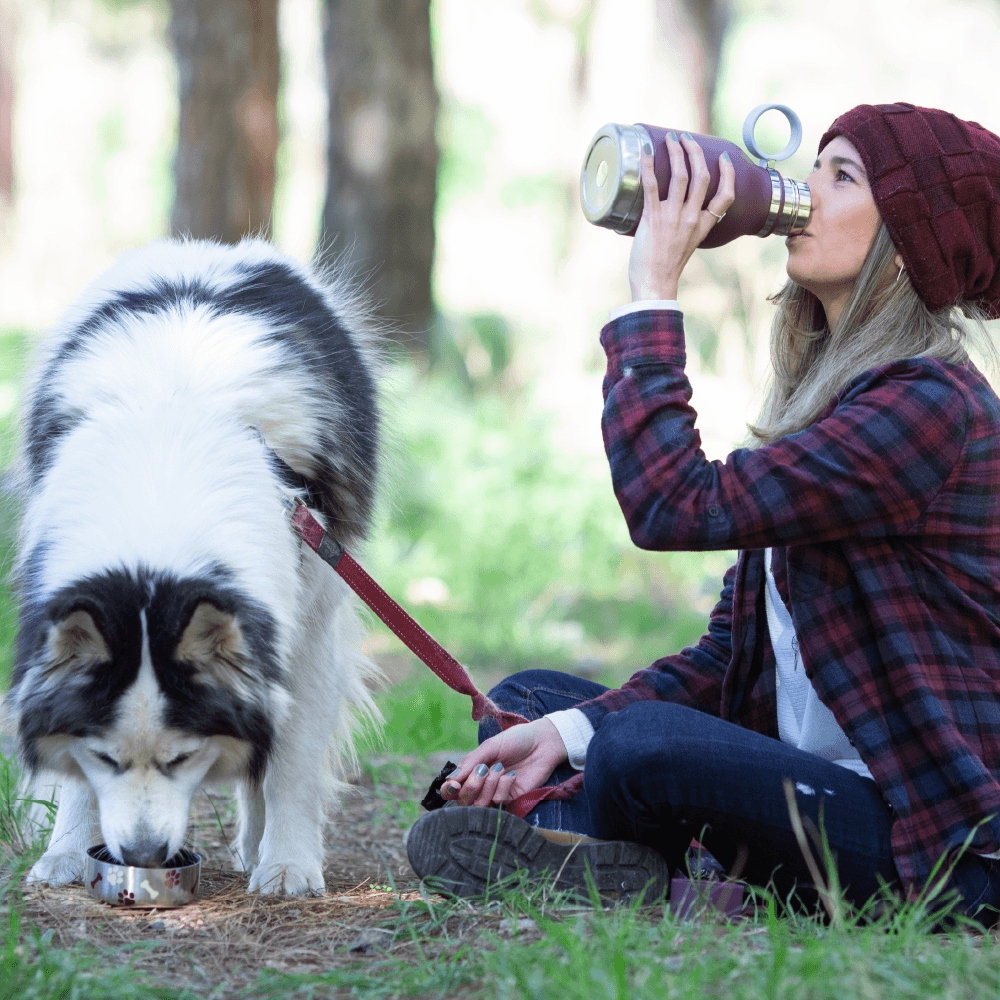 asobu-dog-bowl-bottle-burgundy-hundetrinkflasche-mit-napf image 7