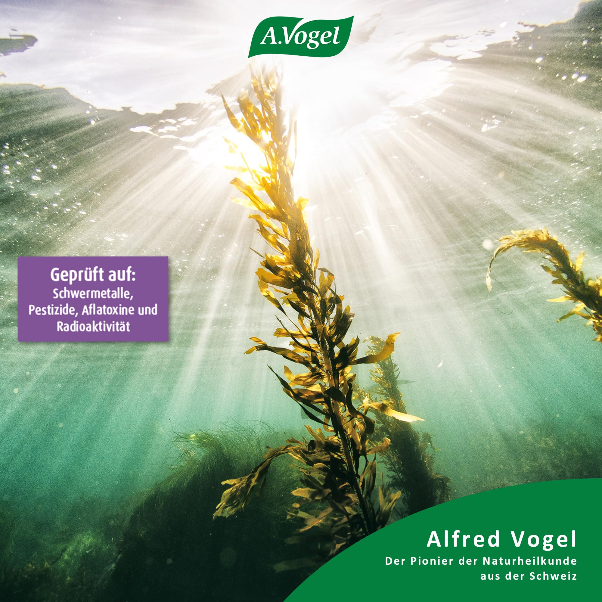 a-vogel-kelp-jod-120-tabletten-nat-rliches-jod-aus-kelp-meeresalgen image 3