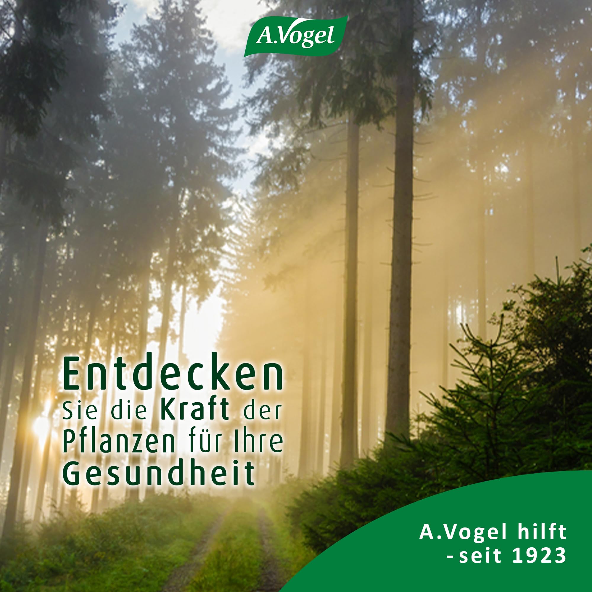 a-vogel-santasapina-bonbons-100g-mit-fichtenspitzen-extrakt-und-honig image 8