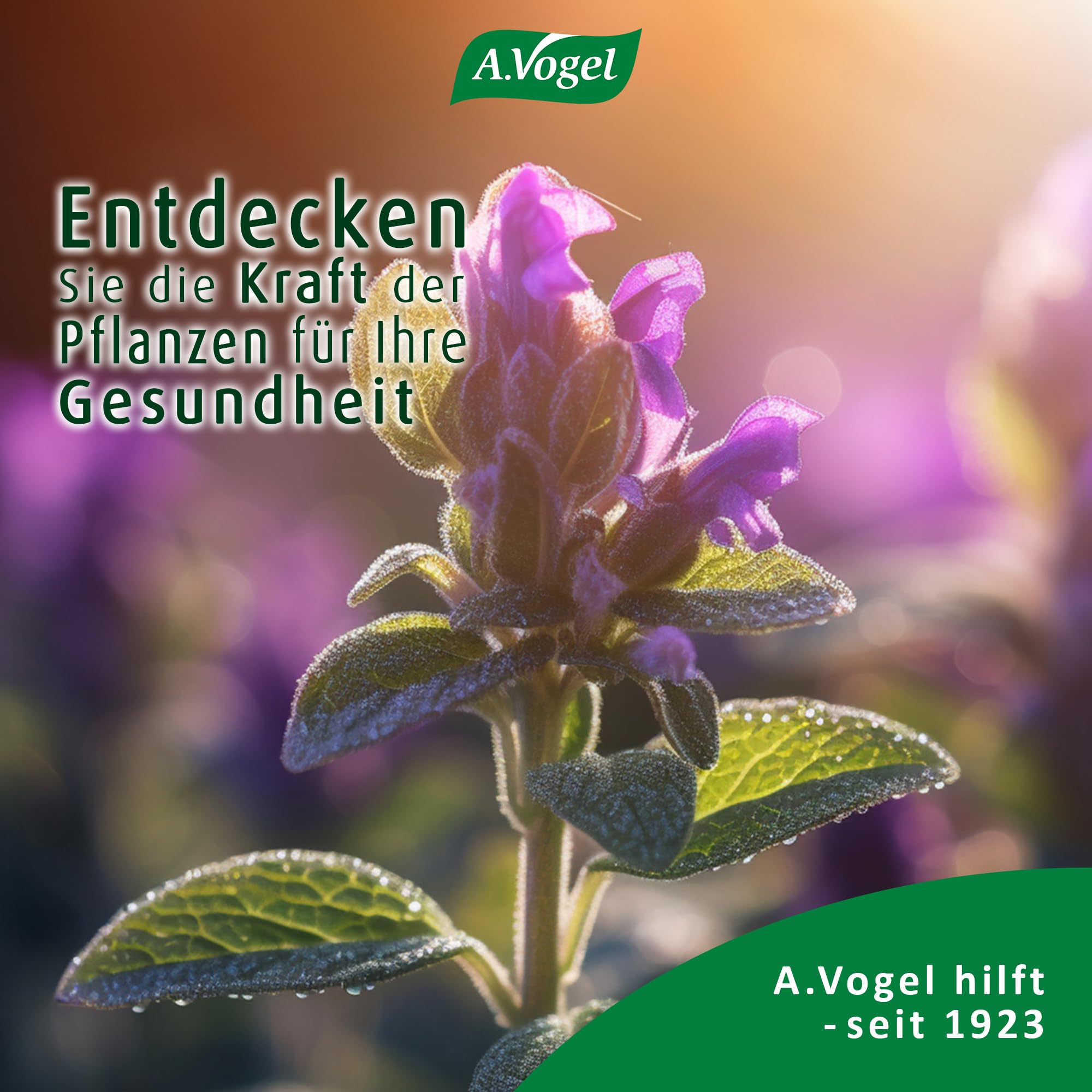 a-vogel-menosan-salvia-tabletten-3-x-30-st-ck-pflanzliches-nahrungserg-nzungsmit image 8