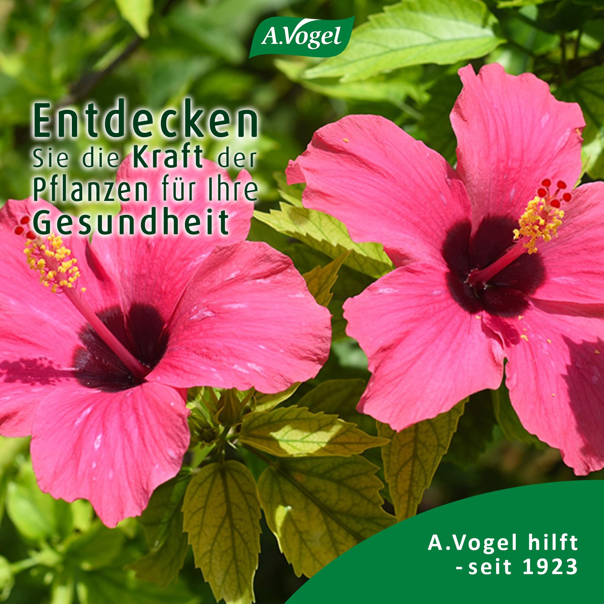 a-vogel-menosan-wechseljahres-complex-60-tabletten-pflanzlich-vegan image 8