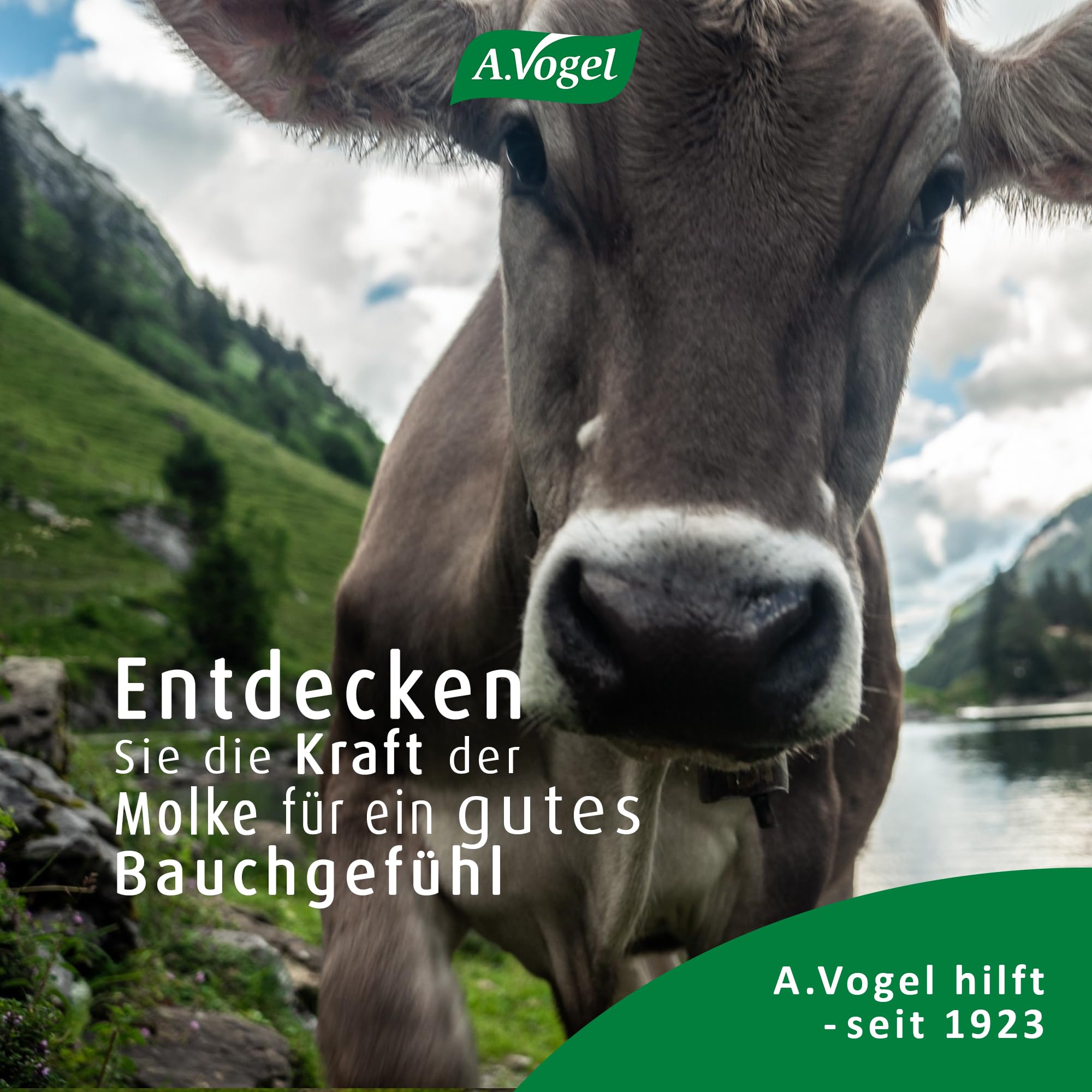 a-vogel-molkosan-molkenkonzentrat-mit-l-milchs-ure-1-l image 8