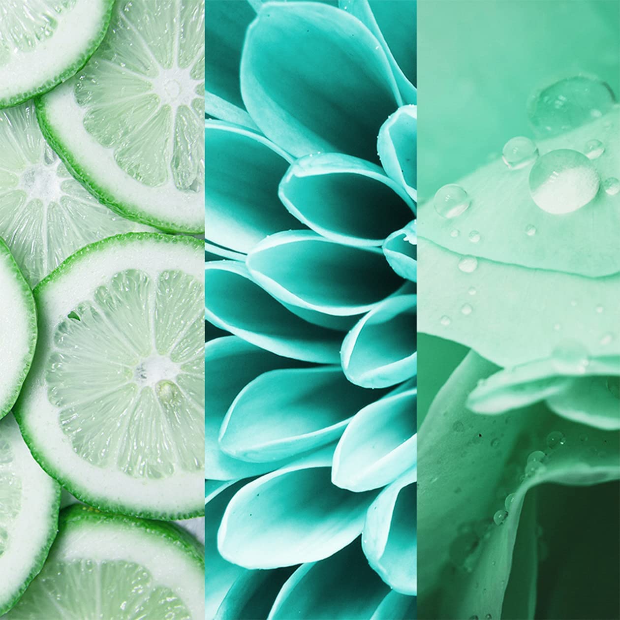 8x4-fresh-lime-deospray-150-ml image 4