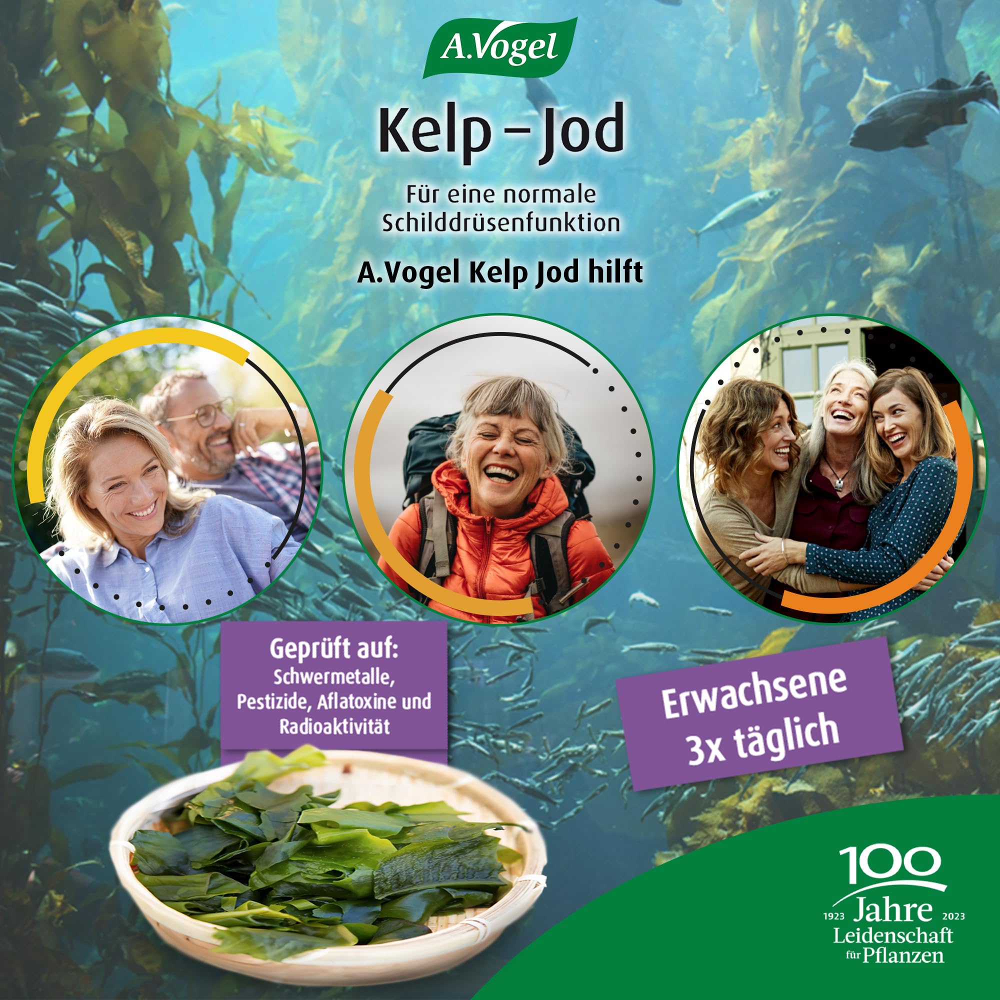 a-vogel-kelp-jod-120-tabletten-nat-rliches-jod-aus-kelp-meeresalgen image 4