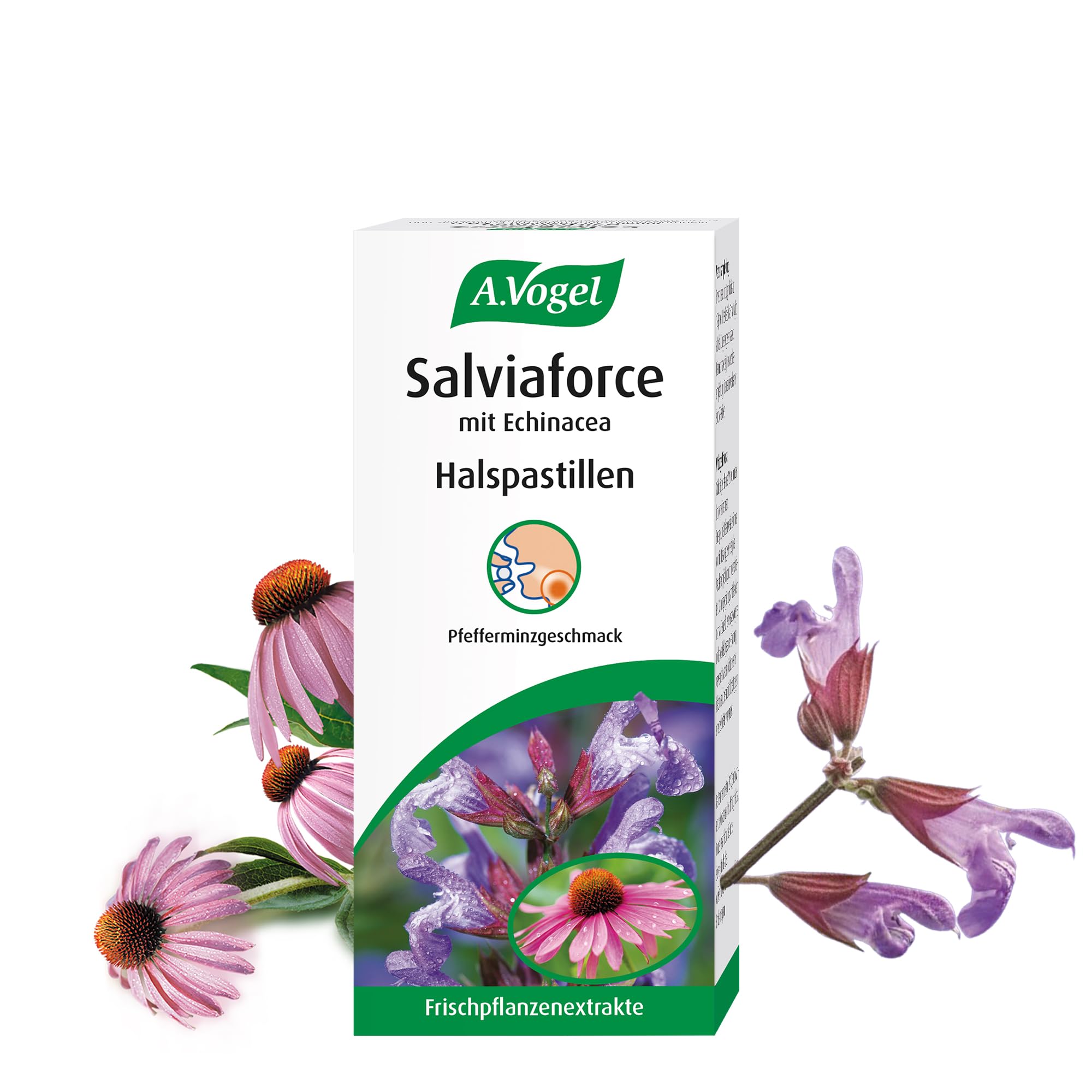 a-vogel-salviaforce-halstabletten-echinacea-salbei-20-st-ck-pfefferminz image 1