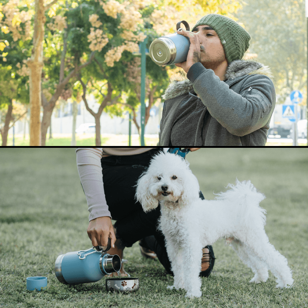 asobu-blue-dog-bowl-bottle-isolierte-edelstahl-trinkflasche-mit-hundenapf image 7