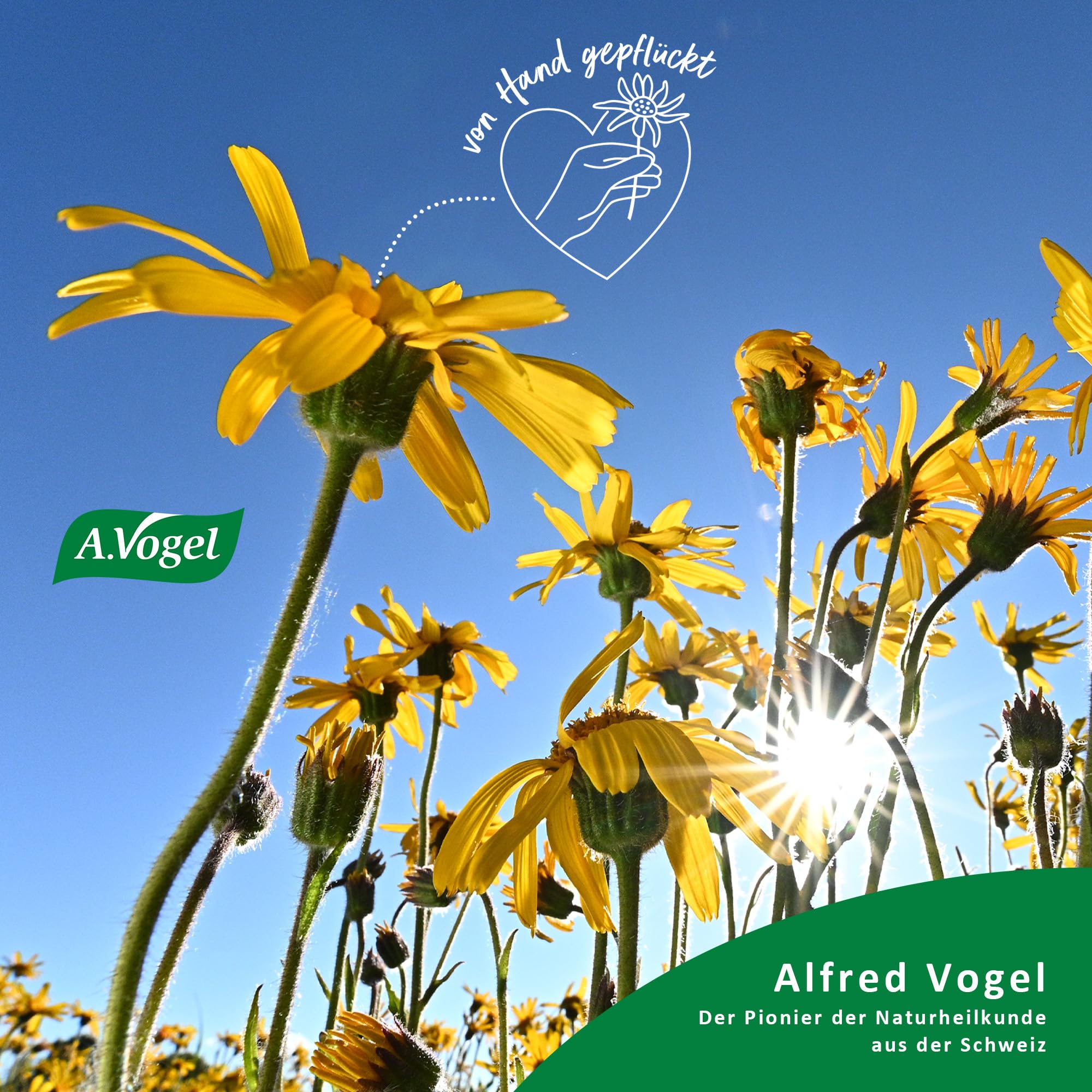 a-vogel-atrosan-arnika-gel-forte-100-ml-massagegel image 3
