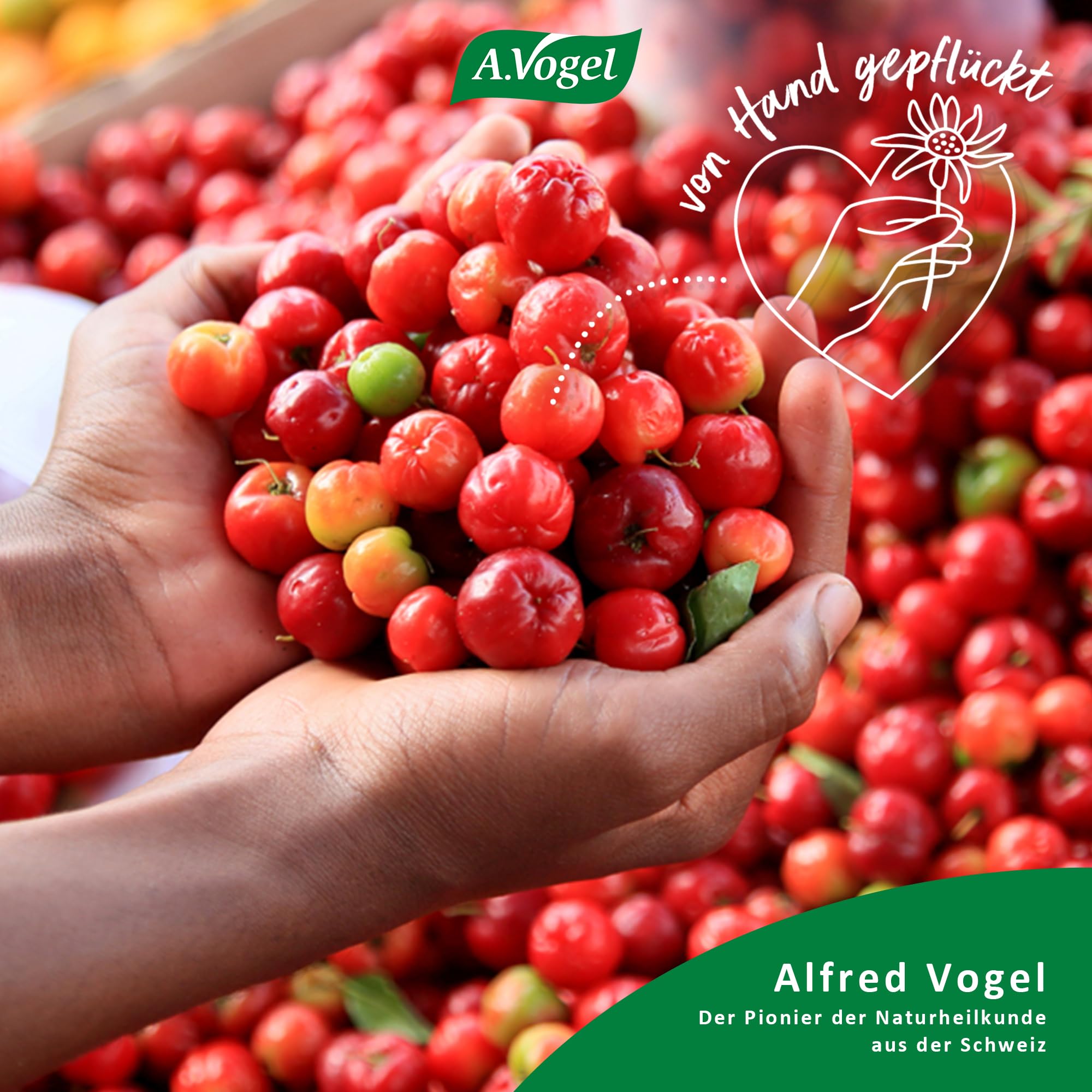 a-vogel-vitamin-c-lutschtabletten-40-tabletten-vegan-pflanzlich image 3