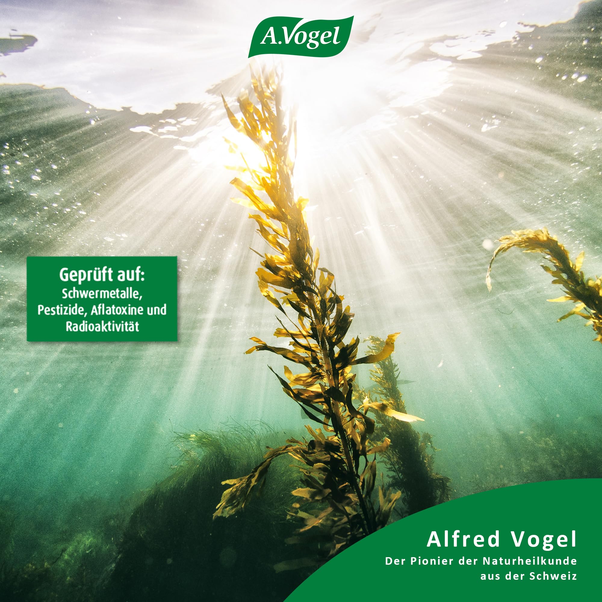 a-vogel-kelpamare-pflanzliche-w-rzsauce-500-ml image 3
