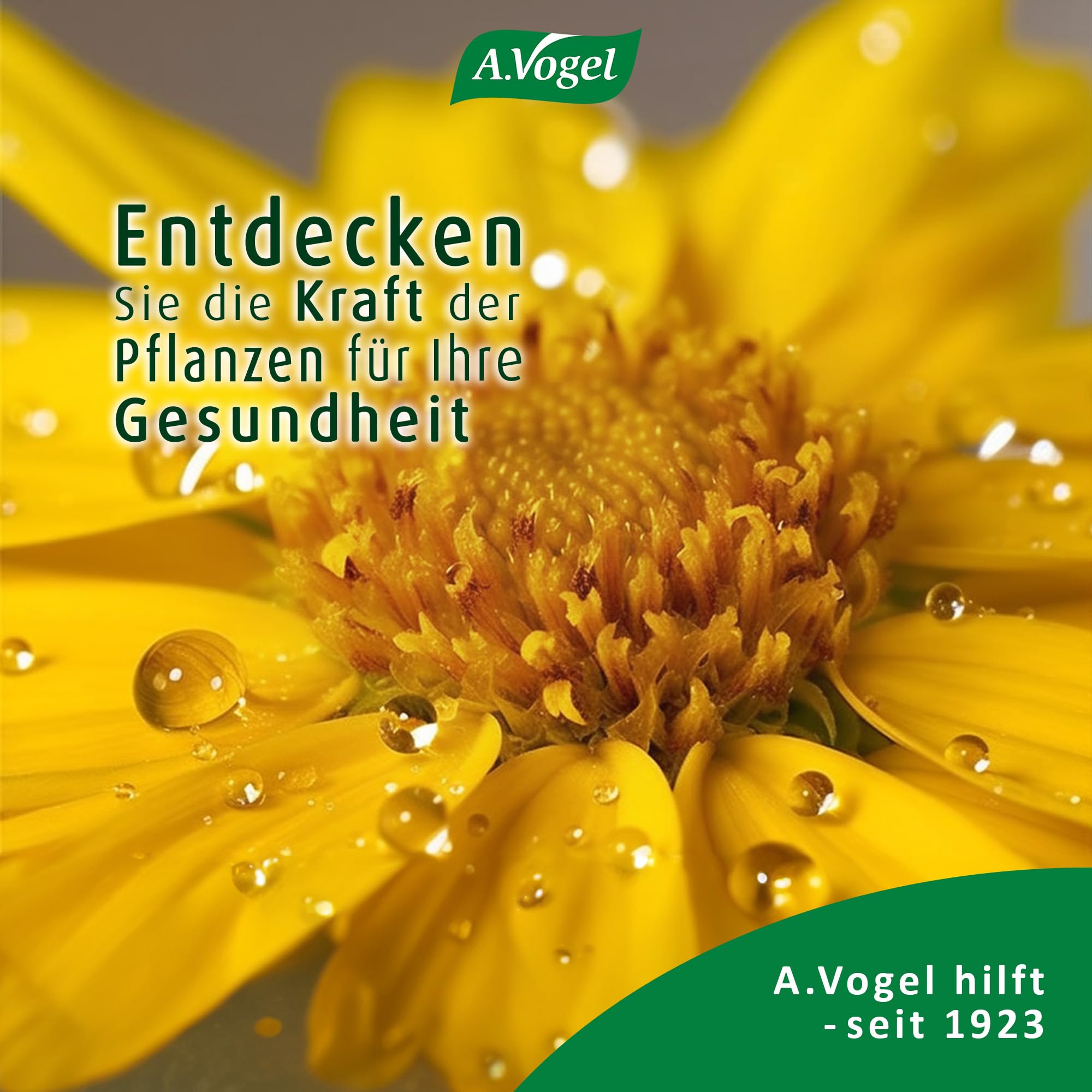 a-vogel-atrosan-arnika-gel-forte-100-ml-massagegel image 8