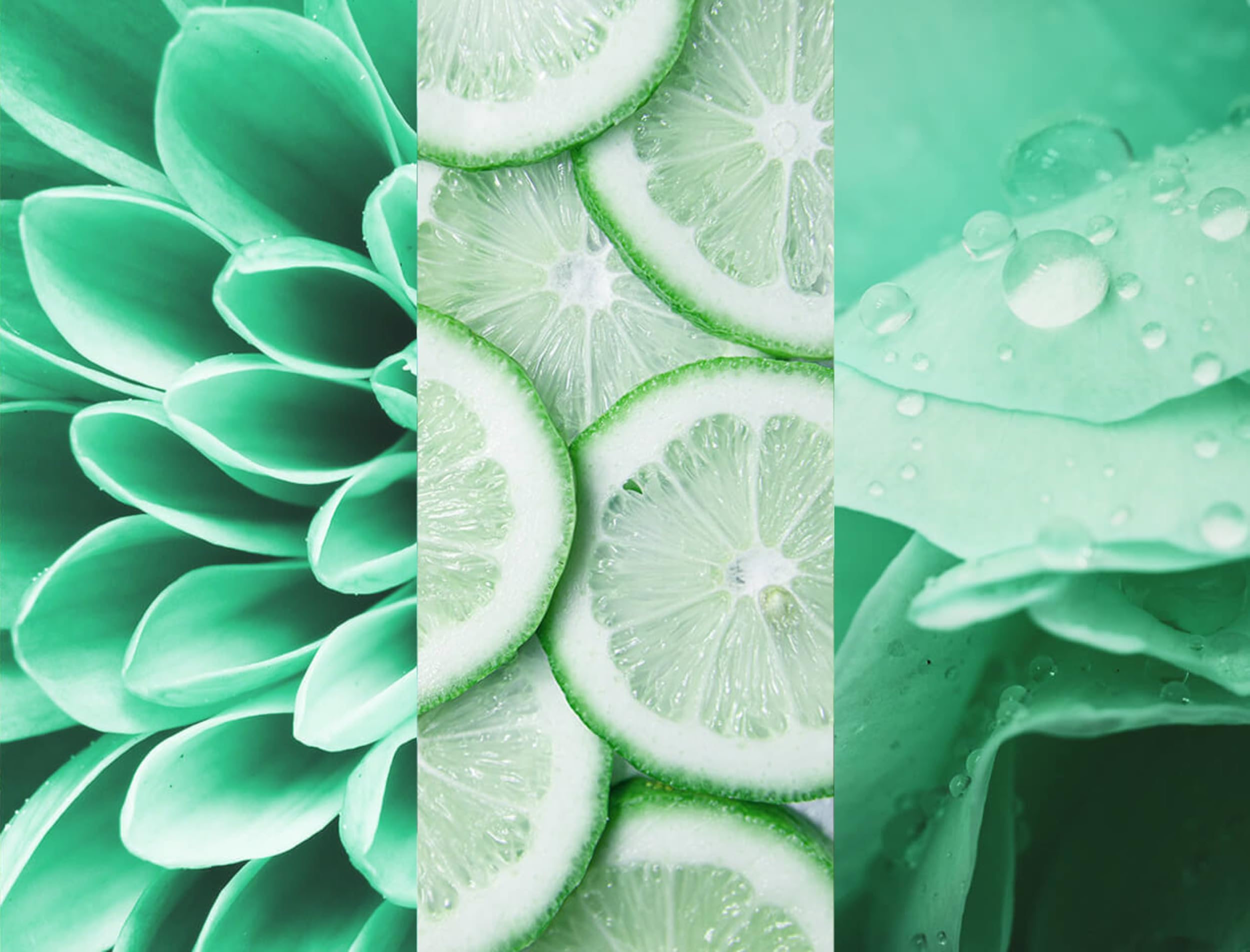 8x4-fresh-lime-deospray-ohne-aluminium-150-ml image 4