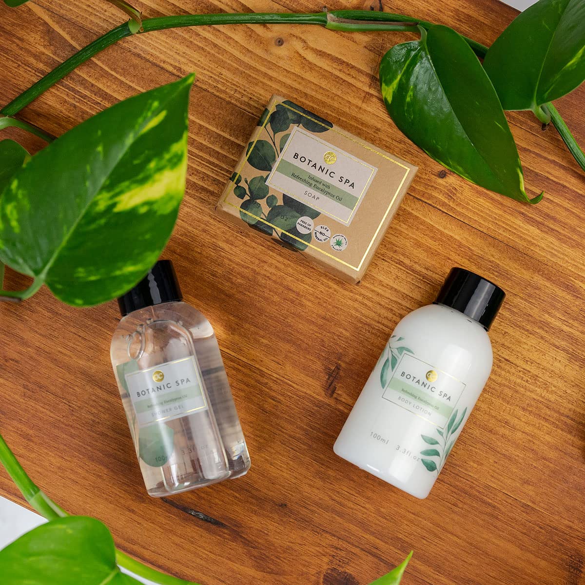 accentra-geschenkset-botanic-spa-4-teilig-holzeimer-sheabutter-eukalyptus image 4
