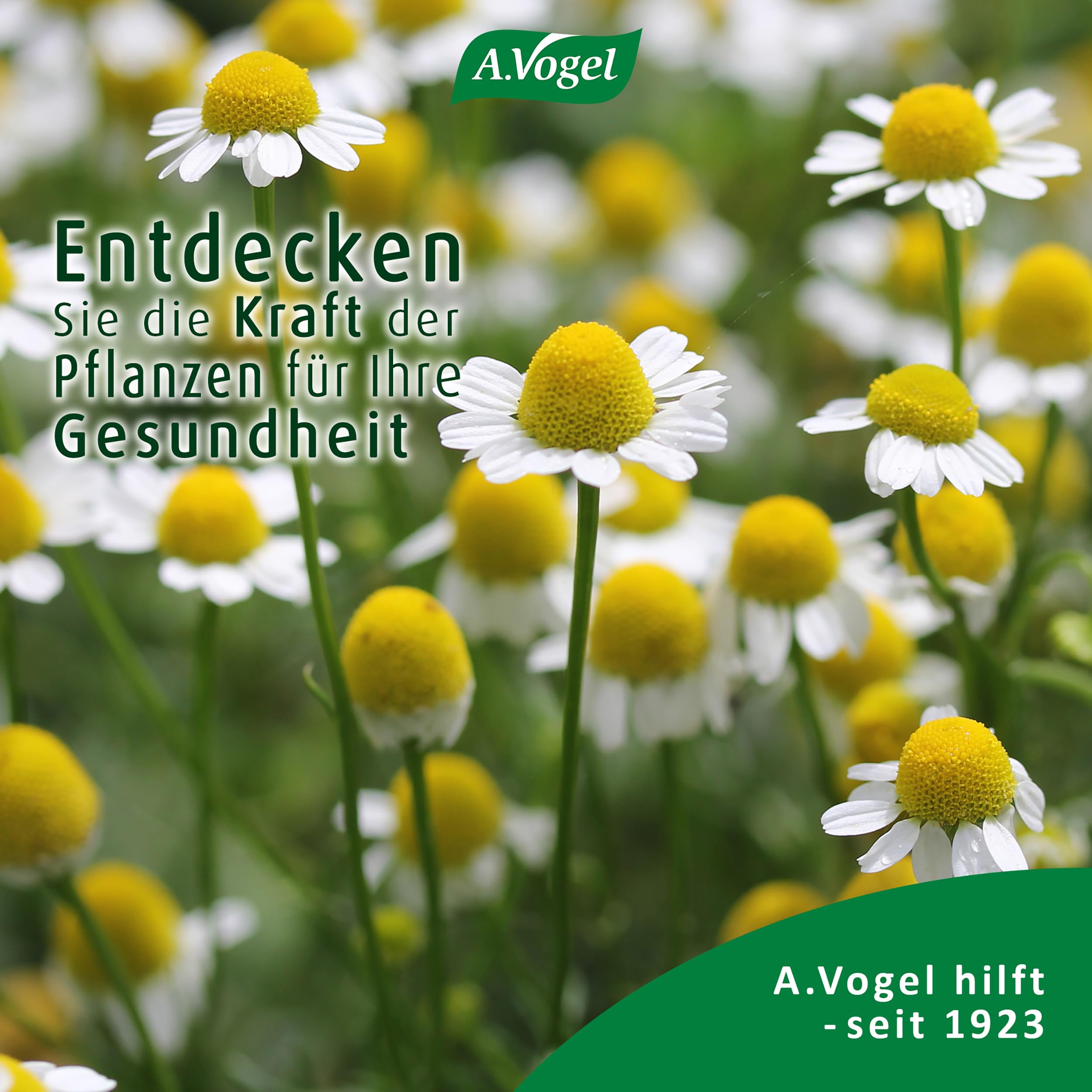 a-vogel-augen-tropfen-heuschnupfen-10ml-mit-kamille-und-hyaluron image 8