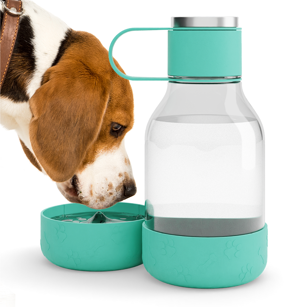 asobu-dog-bowl-bottle-lite-trinkflasche-petrol-mit-abnehmbarem-napf image 1