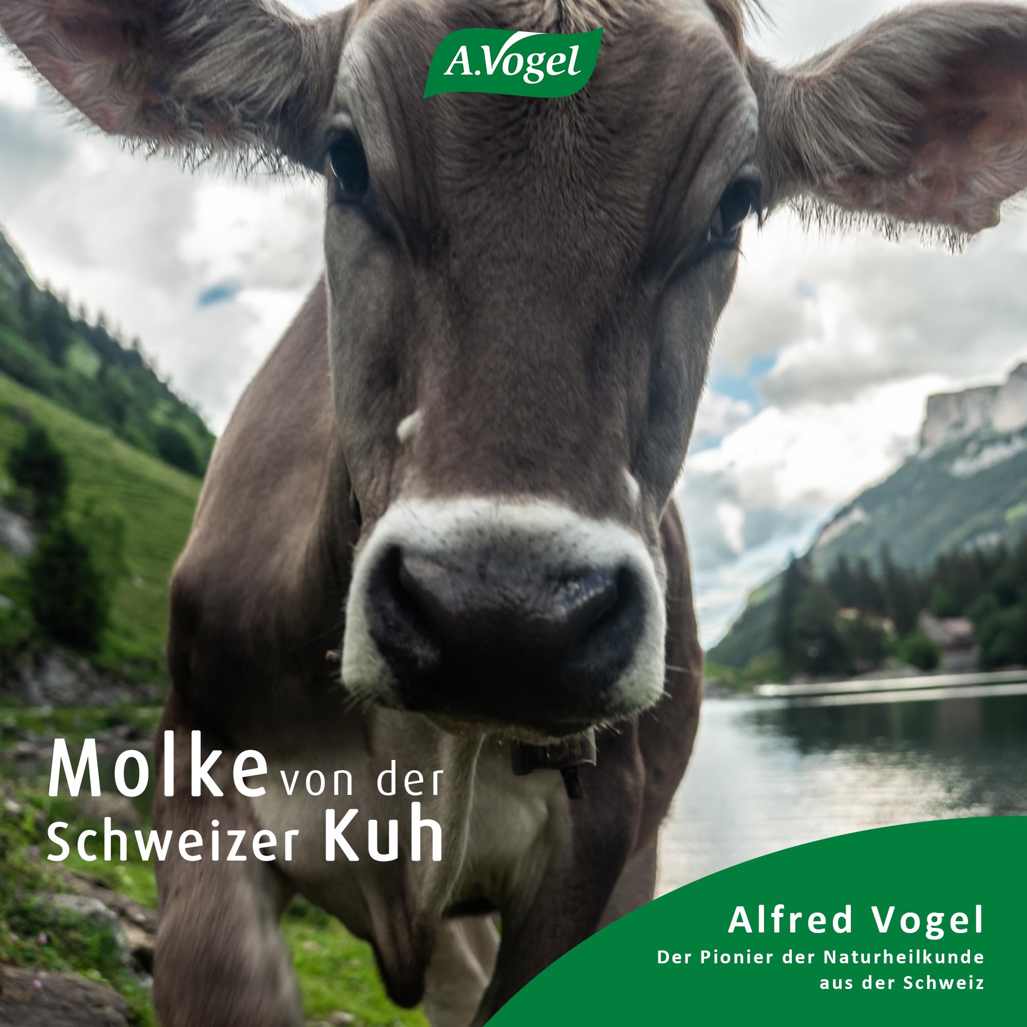 a-vogel-molkosan-molkenkonzentrat-mit-l-milchs-ure-1-l image 4