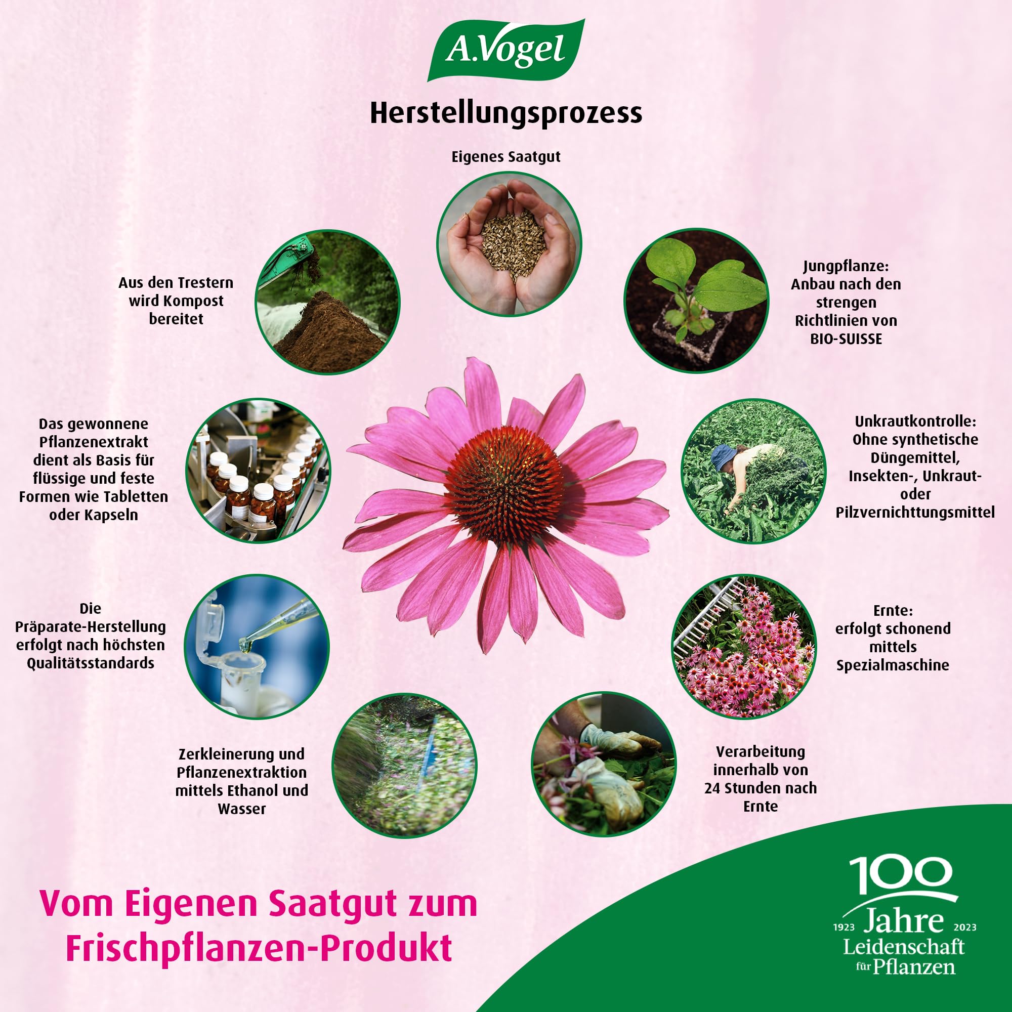 a-vogel-echinaforce-forte-immune-30-tabletten-echinacea-purpurea image 6