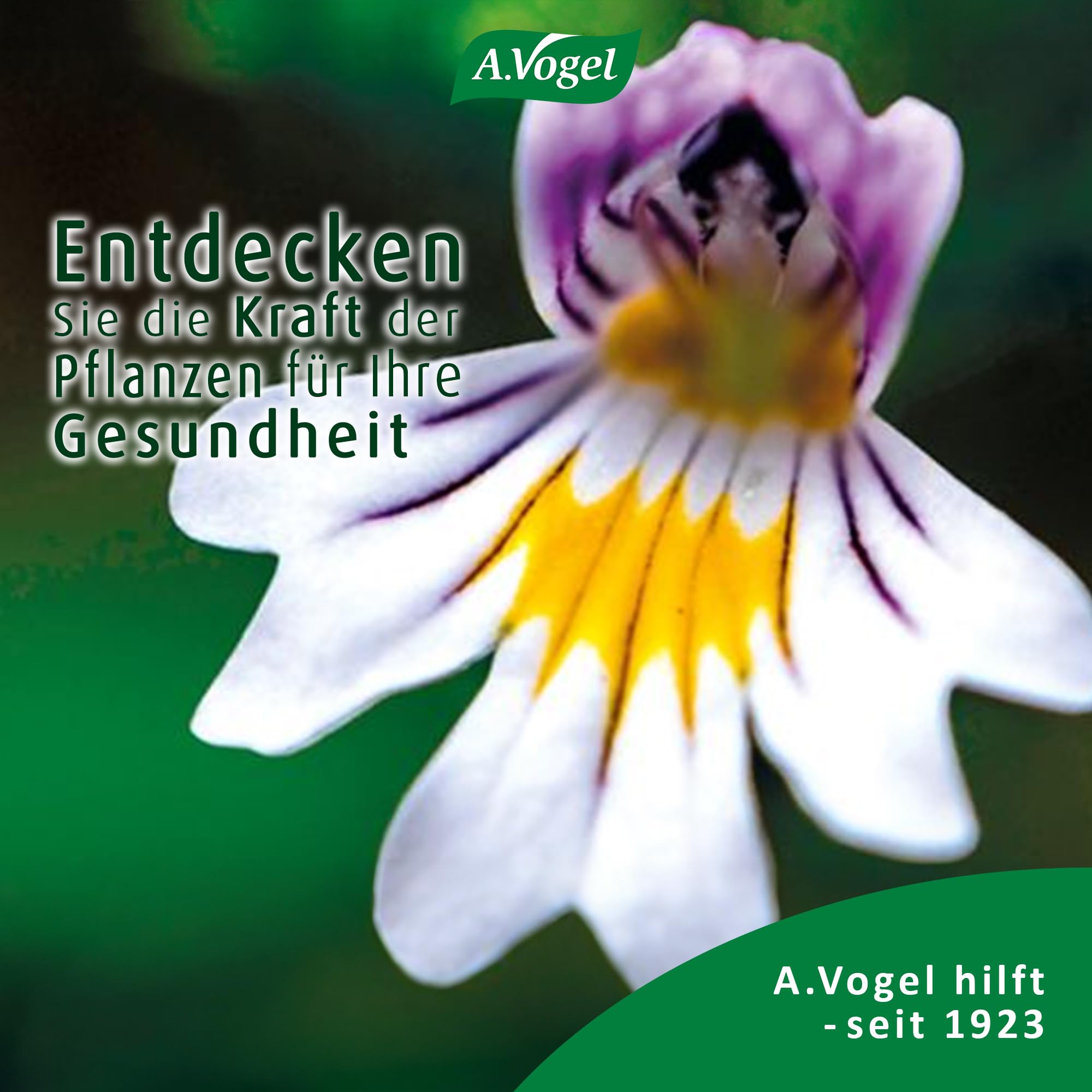 a-vogel-augentropfen-10-ml-euphrasia-hyaluron-vegan image 8