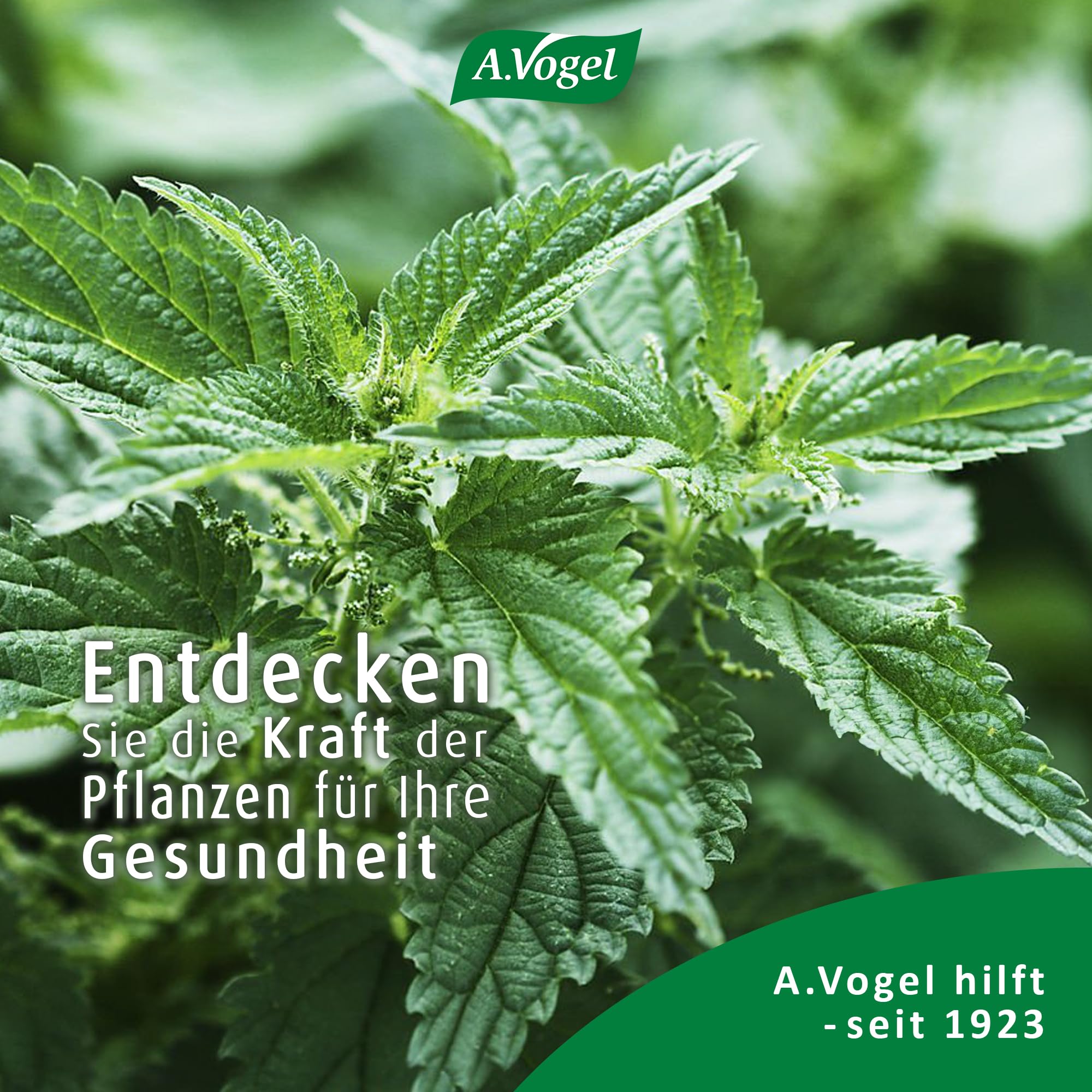 a-vogel-urticalcin-vitamin-d3-mit-brennessel-pflanzliche-kautabletten image 8