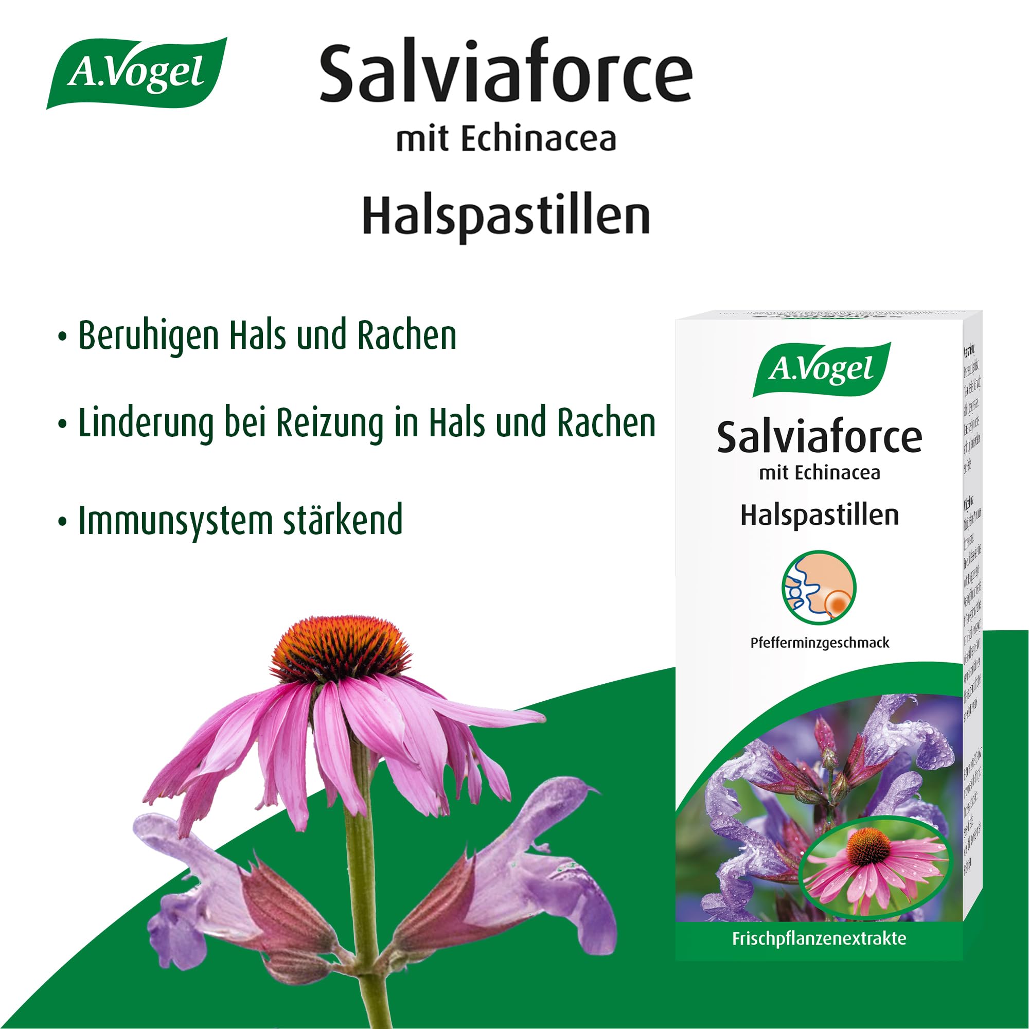 a-vogel-salviaforce-halstabletten-echinacea-salbei-20-st-ck-pfefferminz image 2
