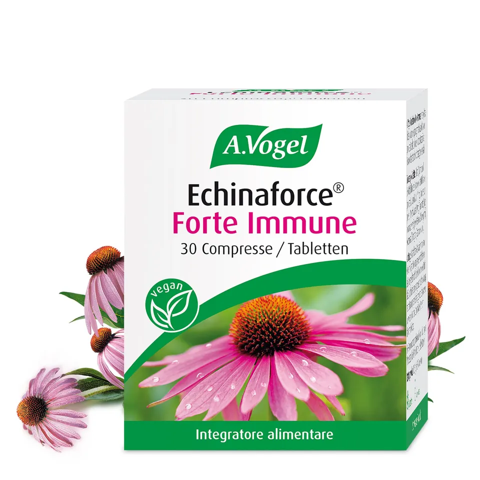 a-vogel-echinaforce-forte-immune-30-tabletten-echinacea-purpurea image 1