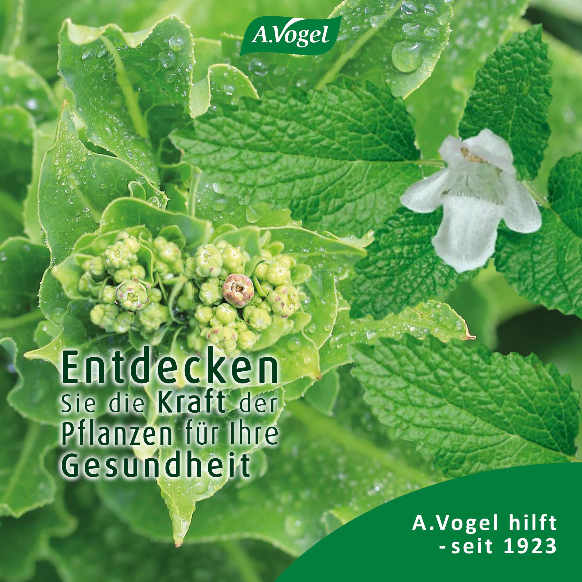 a-vogel-nacht-complex-14-sticks-direktgranulat-nahrungserg-nzungsmittel image 8