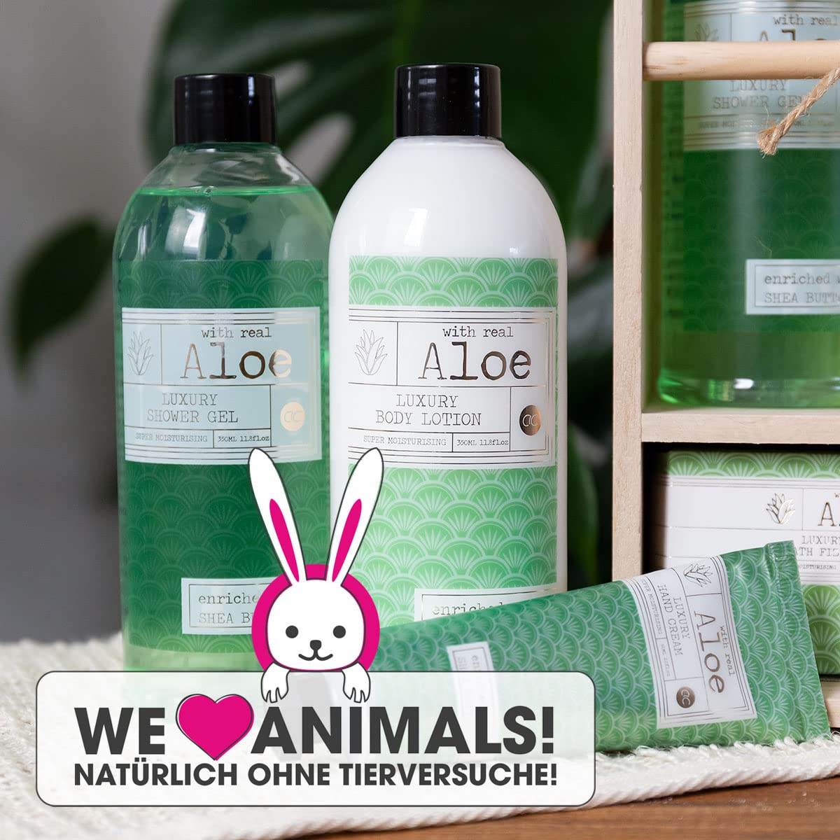 accentra-premium-collection-aloe-vera-geschenkset-im-holzregal image 3