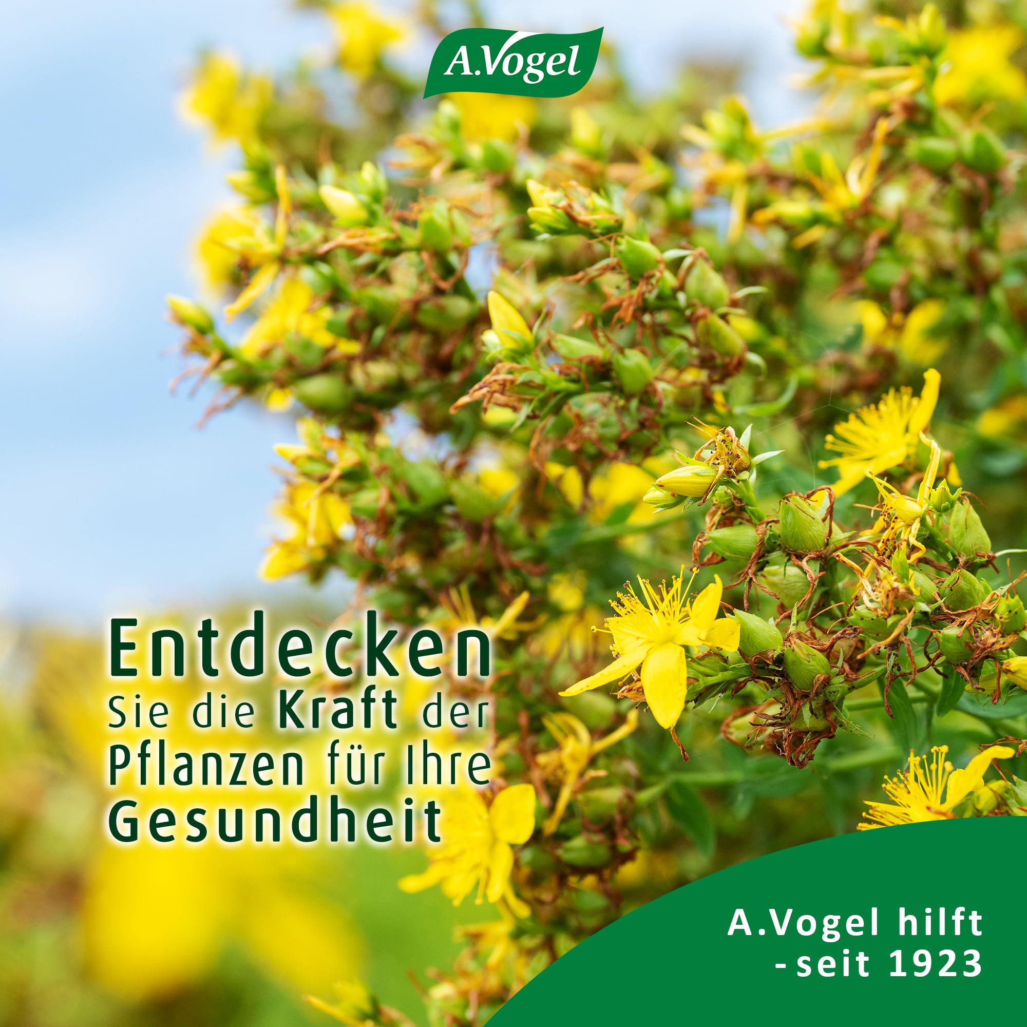 a-vogel-johanniskraut-l-hautpflege-l-100-ml image 7