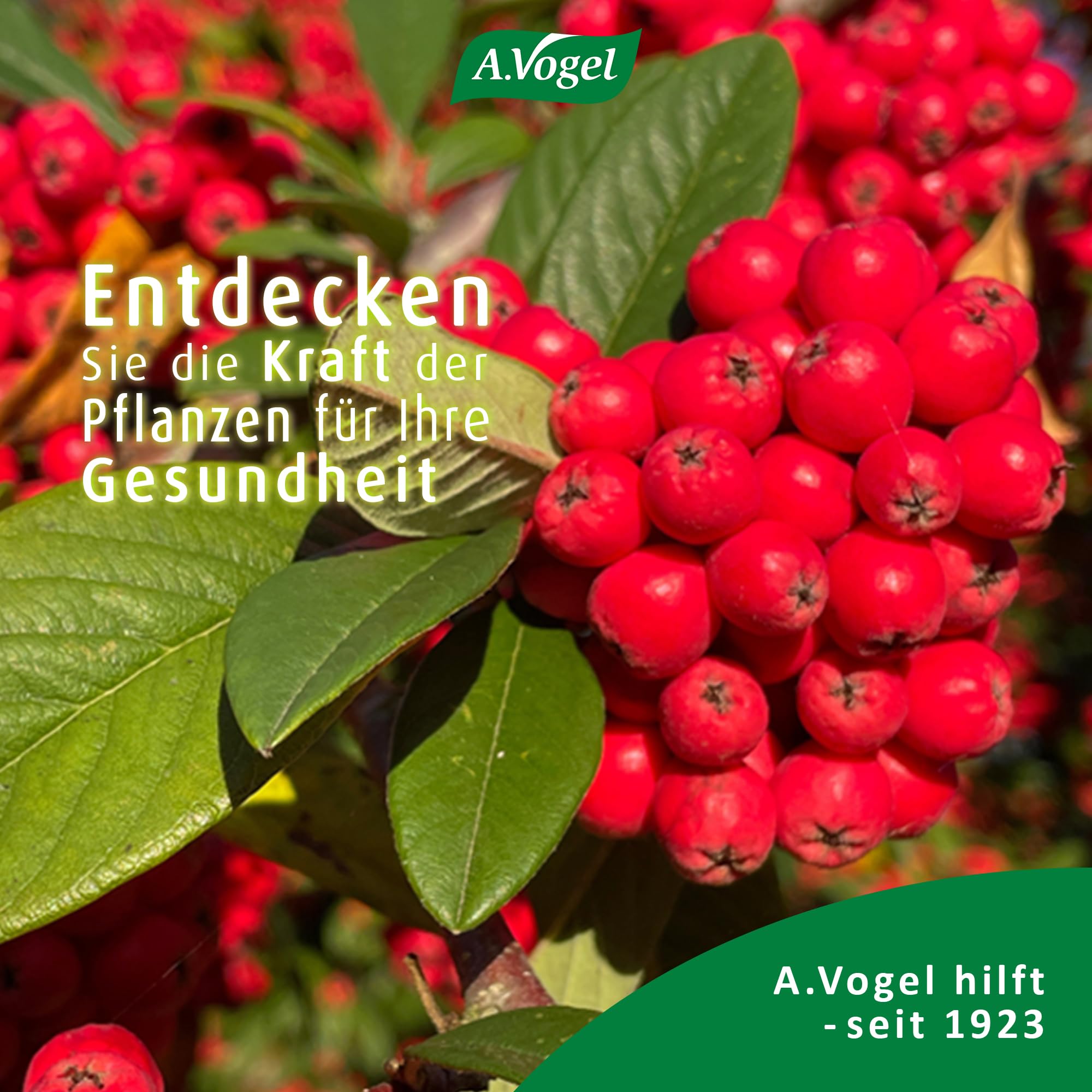 a-vogel-vitamin-c-lutschtabletten-40-tabletten-vegan-pflanzlich image 8