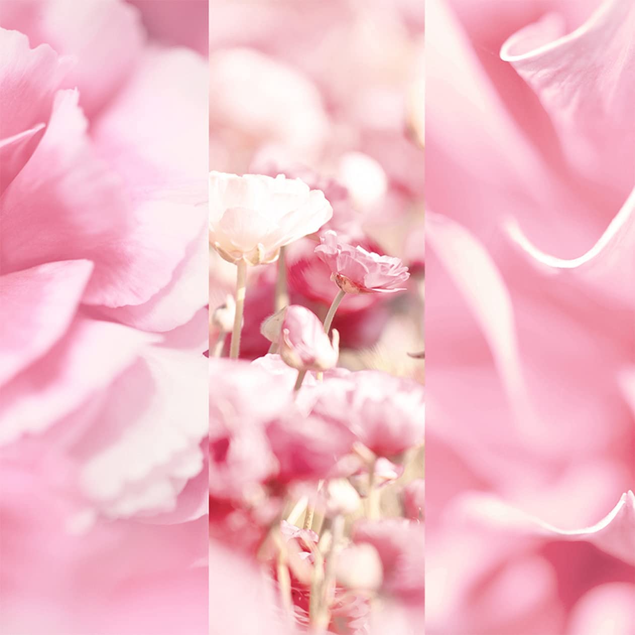 8x4-velvet-blossom-deospray-150-ml image 4