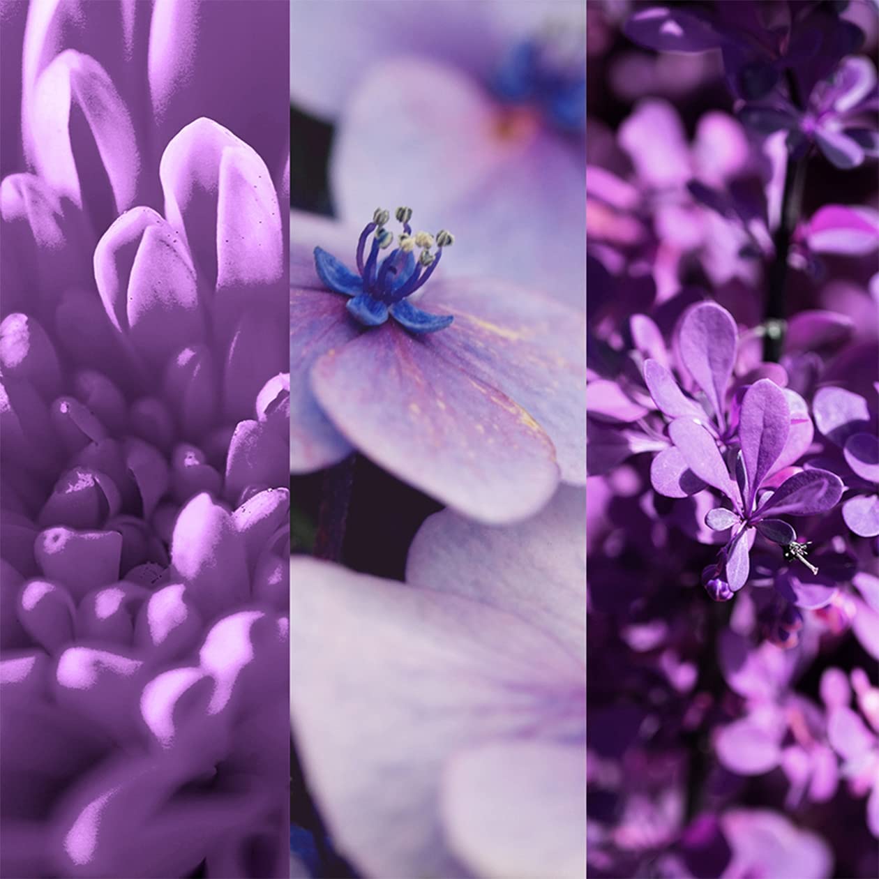 8x4-vibrant-flower-deospray-150-ml-ohne-aluminium-ach image 4