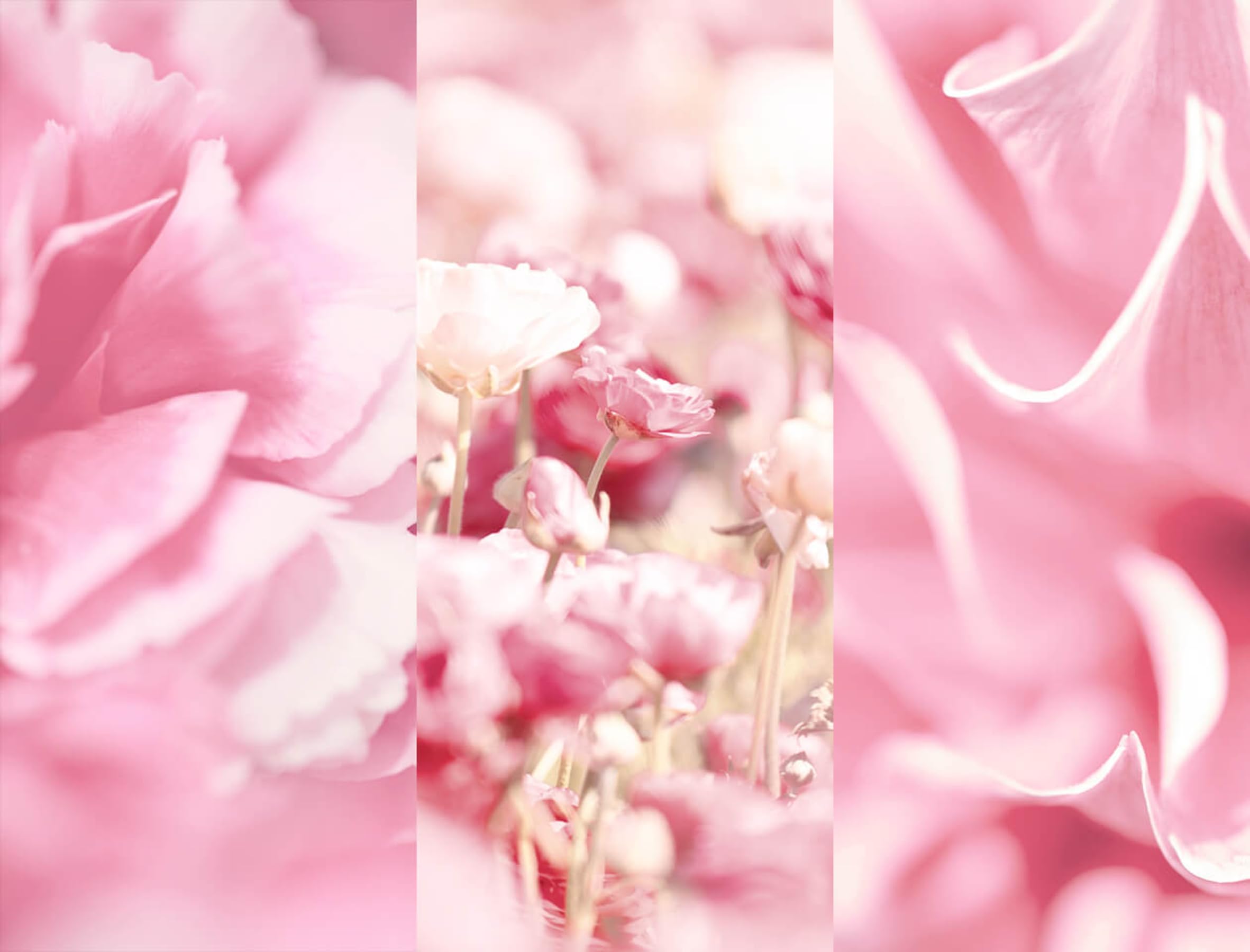 8x4-velvet-blossom-deospray-ohne-aluminium-150-ml image 4