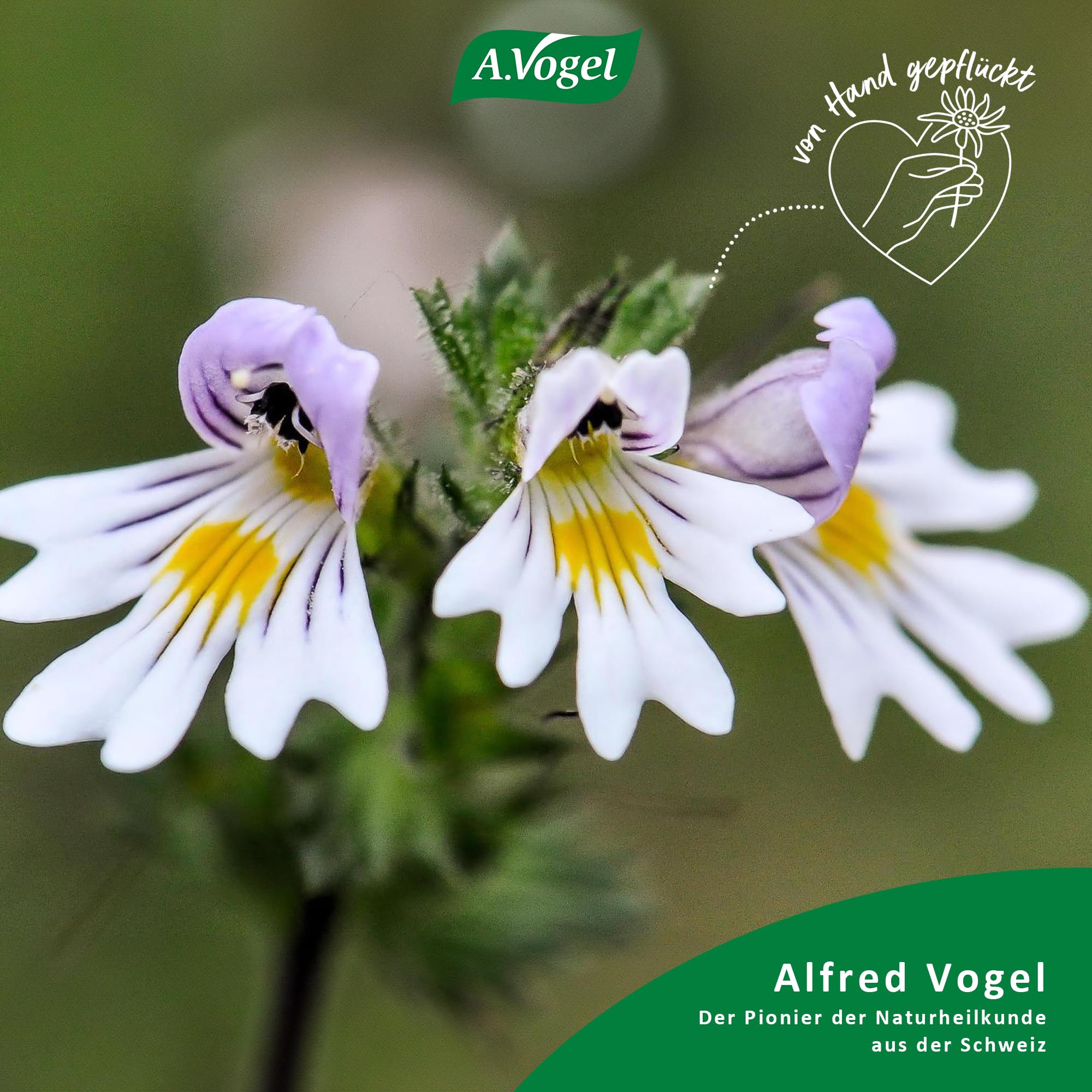 a-vogel-augentropfen-10-ml-euphrasia-hyaluron-vegan image 5